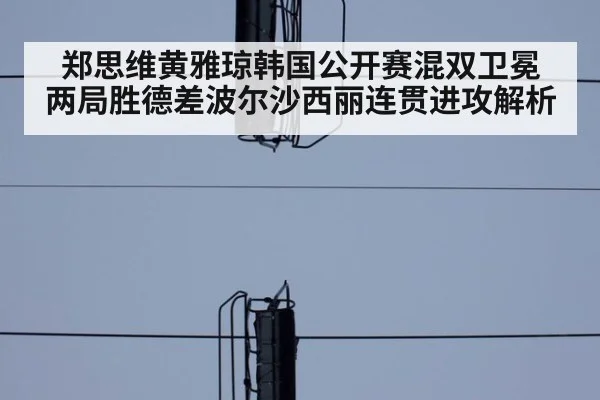 郑思维黄雅琼韩国公开赛混双卫冕 两局胜德差波尔沙西丽连贯进攻解析