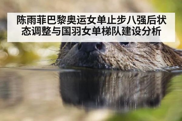 陈雨菲巴黎奥运女单止步八强后状态调整与国羽女单梯队建设分析