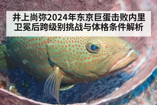 井上尚弥2024年东京巨蛋击败内里卫冕后跨级别挑战与体格条件解析